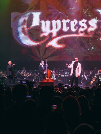 Cypress hill