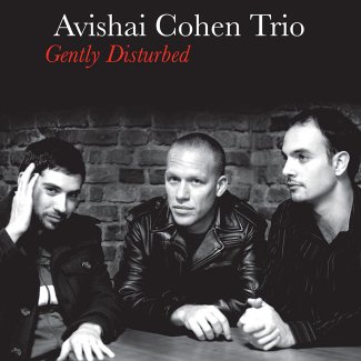 Gently Disturbed - Avishai Cohen
