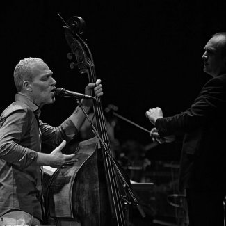 Avishai Cohen