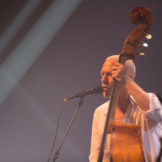 Avishai Cohen